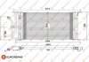 Радіатор кондиціонера VW Caddy/Skoda Octavia 03- EUROREPAR 1609637480 (фото 1)