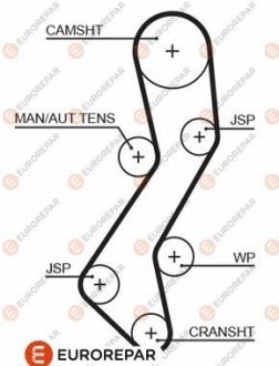 Ремінь ГРМ Ford Escort 1.8TD -02 (22x116) EUROREPAR 1633136880