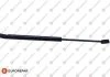 Амортизатор кришки багажника VW Tiguan 08- EUROREPAR 1679437180 (фото 1)