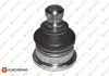 Опора кульова (передня/знизу) Renault Clio/Logan/Megane/Scenic 02- EUROREPAR 1634899380 (фото 1)