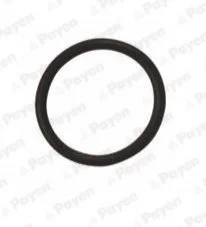 Уплотняющее кольцо маслосливной пробки OPEL/CHEVROLET 18*22*2 резина (пр-во Payen) PAYEN LA5120 (фото 1)