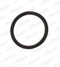 Уплотняющее кольцо маслосливной пробки OPEL/CHEVROLET 18*22*2 резина (пр-во Payen) PAYEN LA5120