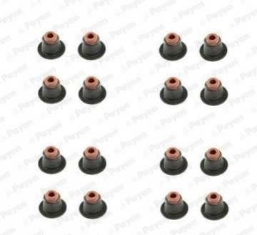 Сальник клапана (компл.) BMW N42/N46 (16PCS) PAYEN HR5086