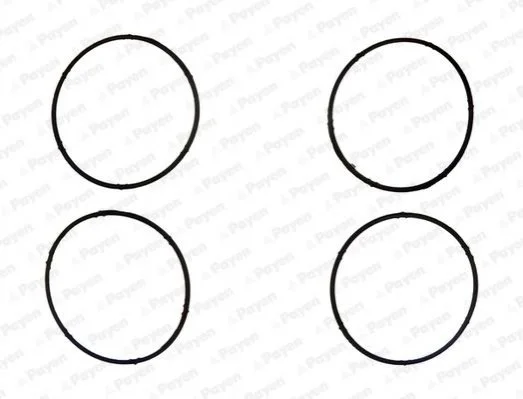 Прокладка колектора впускного VW Caddy III 1.6i 04-15 PAYEN JD6095 (фото 1)
