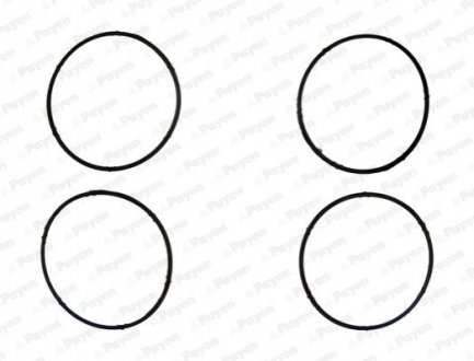 Прокладка колектора впускного VW Caddy III 1.6i 04-15 PAYEN JD6095 (фото 1)