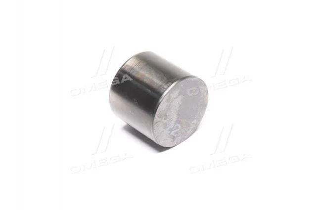 Гідрокомпенсатор (вир-во Mobis) Hyundai/Kia/Mobis 222262B422 (фото 1)