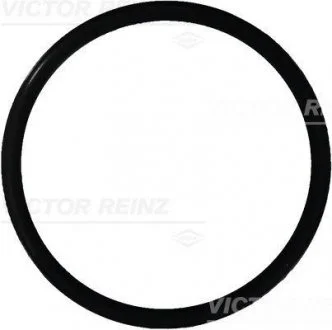 Автозапчастина VICTOR REINZ 407616500