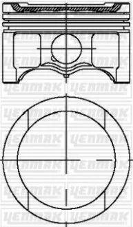 Поршень Audi A3/A4/VW Passat 1.6 96-10 (81.01mm/STD) YENMAK 3104316000