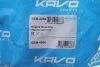 Подушка двигуна (передня) Hyundai Santa Fe/Kia Sorento 2.2/2.4 CRDi 05-13 KAVO EEM4066 (фото 2)