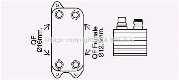 Охолоджувач оливи AVA COOLING MS3686 (фото 1)