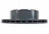 Диск гальмівний (задній) Renault Mascott (290х22) (вентильований) BLUE PRINT ADBP430002 (фото 3)