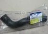 Патрубок радіатора нижній New Actyon (вир-во SsangYong) SSANGYONG 2142134020 (фото 2)