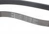 Натяг паса (комплект) CONTITECH 6PK1130K3 (фото 3)