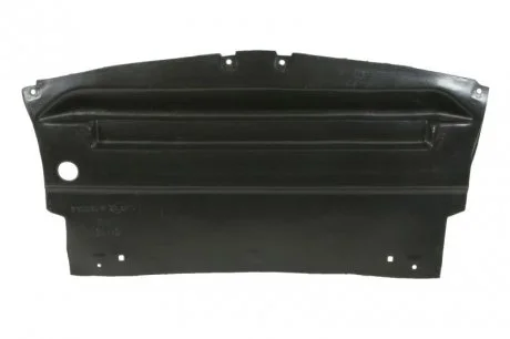 Кришка під бампером FORD MUSTANG 09.04-02.09 BLIC 6601022585881P