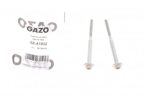 Болт кріплення форсунки VW Caddy/T5 2.0TDI 10- (к-кт 2шт.) GAZO GZA1832