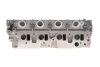 Головка блоку циліндрів NISSAN NAVARA 2.5 DTI AMC 908505 (фото 6)