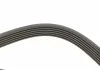 Ремень генератора Peugeot Bipper/Expert/Partner 1.4/1.6HDI 07-/Ford Focus/Mondeo 2.0 18- (6PK1352) AUTOTECHTEILE 9061352 (фото 3)