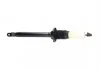 PARTS FORD Амортизатор газ.задн. Fiesta 95- KAVO SSA10379 (фото 2)
