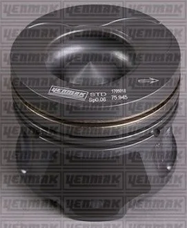 Поршень с кольцами і пальцем (размер отв. 76,00 / STD) RENAULT Megane 1.5dCi 02-, Kangoo 1.5DC 08- (4 цл.) (K9K 728 Euro3) YENMAK 3104175000