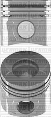 Поршень с кольцами і пальцем (размер отв. 69,60/STD) OPEL Astra J 1.3CDTI -15 (4цл.) (A 13 DTE / Multijet Euro5) YENMAK 3104198000 (фото 1)