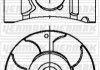 OPEL Поршень с кольцами і пальцем (размер отв. 79,0/STD) Astra H, Combo, Meriva, 1.7CDTI 03- YENMAK 39-04233-000 (фото 1)