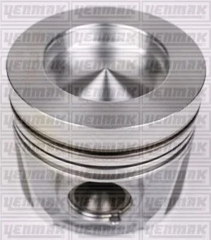 Поршень з кільцями і пальцем (розмір отв. 79.51 / STD) (CFWA,CAYA) YENMAK 3104340000 (фото 1)