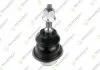 FORD кульова опора верхня F-150 15- TEKNOROT FO1135 (фото 1)
