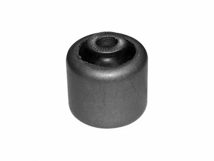 -TEKNOROT BMW С/блок важеля передн.нижній X3 E83,X5 E53,E28/34/E32 KAUTEK BMBS055