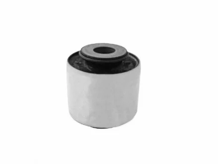 -TEKNOROT RENAULT С/блок тяги задн.стабілізатора Duster 10- KAUTEK DCBS009