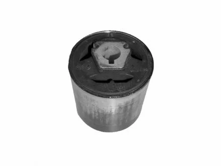 -TEKNOROT BMW С/блок передн.важеля X3, X5 E53 00- KAUTEK BMBS061