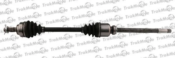 Trakmotive Citroen має рацію. L = 955,5 мм 25/25 зуб. C4 II 1.6 HDI 115 12-, DS4 1.6 HDI 115 12-15 TRAKMOTIVE 300656 (фото 1)