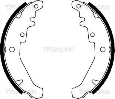 Комплект гальмівних колодок TRISCAN 810015026