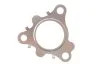 Ущільнення, вихлопна труба ELRING 075.300 (фото 1)