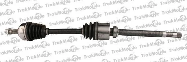 CITROEN Полуось прав. L=923mm L=970mm 25/37 зуб. C5 I 3.0 V6 01-04, C5 I Break 3.0 V6 01-04 TRAKMOTIVE 300199 (фото 1)