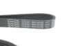 Ремінь генератора Ford Focus/Kuga 1.5EcoBoost 14- (6PK1027) DAYCO 6PK1027EE (фото 4)