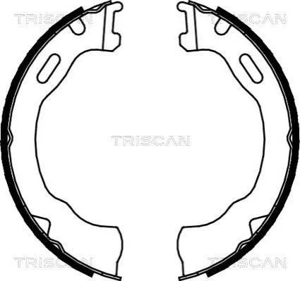 Гальмівні колодки ручного гальма TRISCAN 810080007 (фото 1)