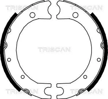 Комплект гальмівних колодок, Стоянкове гальмо TRISCAN 810013036 (фото 1)