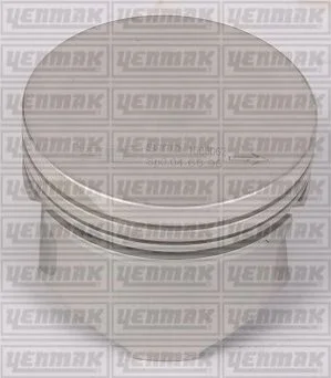 Поршень с кольцами і пальцем RENAULT Kangoo 1.2 (размер отв. 69 / STD) (DF 7 700/701/702/706/710/720/722/726/720/730/726) YENMAK 3104155000 (фото 1)