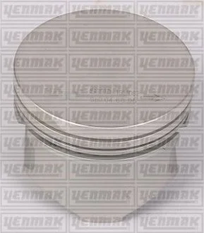 Поршень с кольцами і пальцем RENAULT Kangoo 1.2 (размер отв. 69 / STD) (DF 7 700/701/702/706/710/720/722/726/720/730/726) YENMAK 3104155000