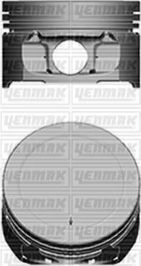 Поршень с кольцами і пальцем (размер отв. 78.5 / STD) Berlingo 1.6 (4цл.) (TU5JP4, NFU, NFX Euro 3) YENMAK 3104101000 (фото 1)