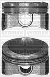 Поршень з кільцями і пальцем (розмір отв. 75,00/STD) CITROEN C-Elysee 1,2VTi YENMAK 3104105000 (фото 1)