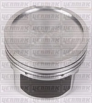 Поршень с кольцами і пальцем (размер отв. 81.01 / STD) AUDI 1.8T 20V (AEB) YENMAK 3103296000 (фото 1)
