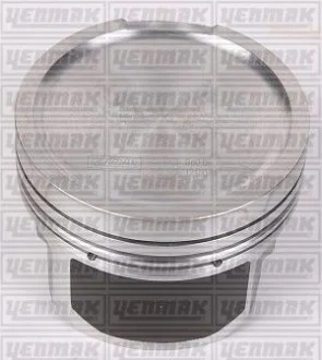 Поршень с кольцами і пальцем (размер отв. 81.01 / STD) AUDI 1.8T 20V (AEB) YENMAK 3103296000