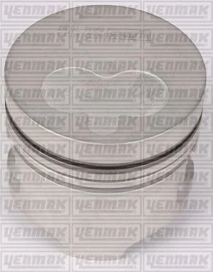 Поршень с кольцами і пальцем (размер отв. 80 / STD) (F8 Q.706 64PS) YENMAK 3104161000 (фото 1)