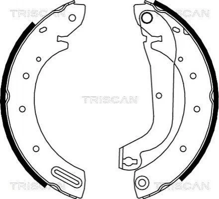 Колодки тормозные задние барабанные TRISCAN 810014596 (фото 1)
