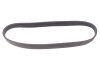 PASEK W/KLINOWY CONTITECH 6PK868ELAST (фото 1)