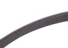 PASEK W/KLINOWY CONTITECH 6PK868ELAST (фото 3)