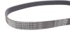 PASEK W/KLINOWY CONTITECH 6PK868ELAST (фото 4)