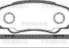 Колодки гальмівні задні TRISCAN 811010533 (фото 1)