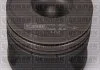 Поршень с кольцами і пальцем AUDI A6 2.5TDI (размер отв. 81.01 / STD) (AAT,ABP,AEL,1T,D5252T) (1-й / 2-й цл.) YENMAK 3103297000 (фото 1)